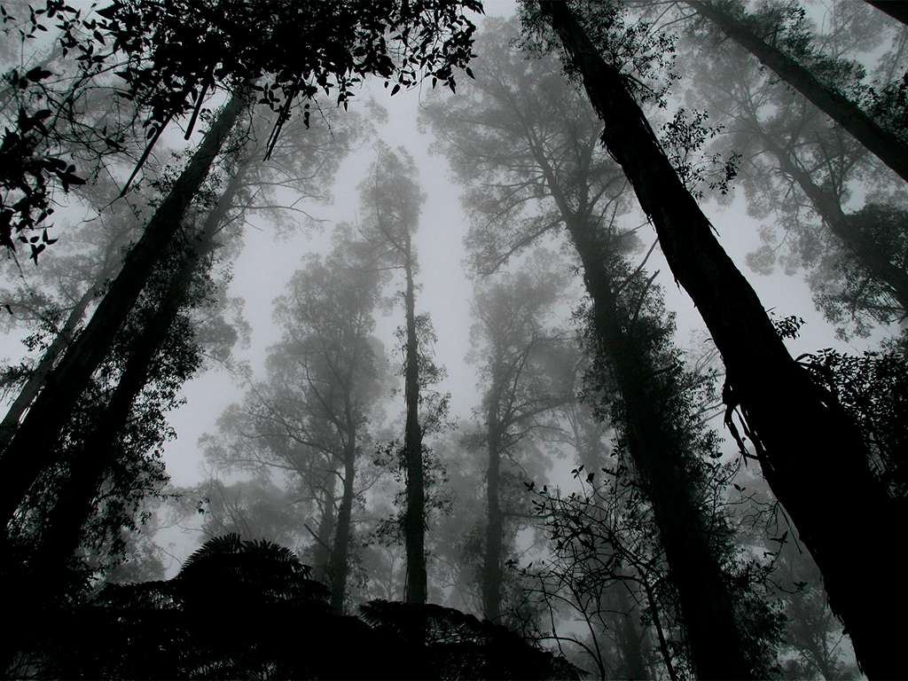 El demonio caníbal que camina en los bosques: El Wendigo, Algernon&nbsp;Blackwood
