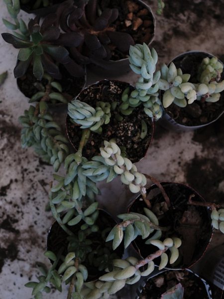 Colores Fujifilm: mi experiencia con las simulaciones de&nbsp;película