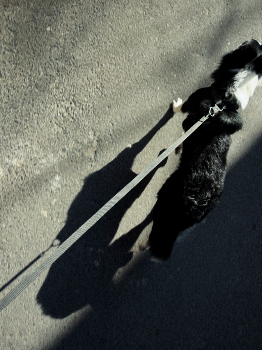 Ozzy y el&nbsp;bebé