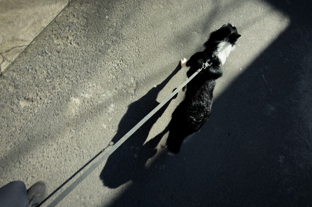 Ozzy y el&nbsp;bebé