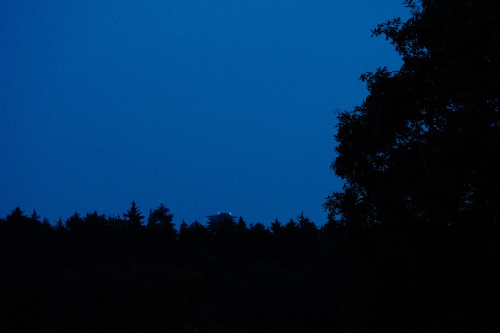 Bosque de noche con cielo azul oscuro