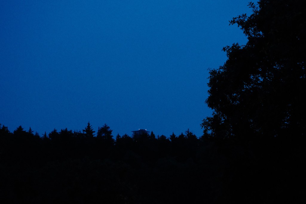 Silueta de un bosque oscuro bajo un cielo azul profundo al anochecer, vista desde una ventana.